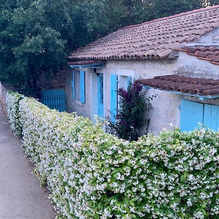 Vila Majda Tar-Vabriga Luaran gambar