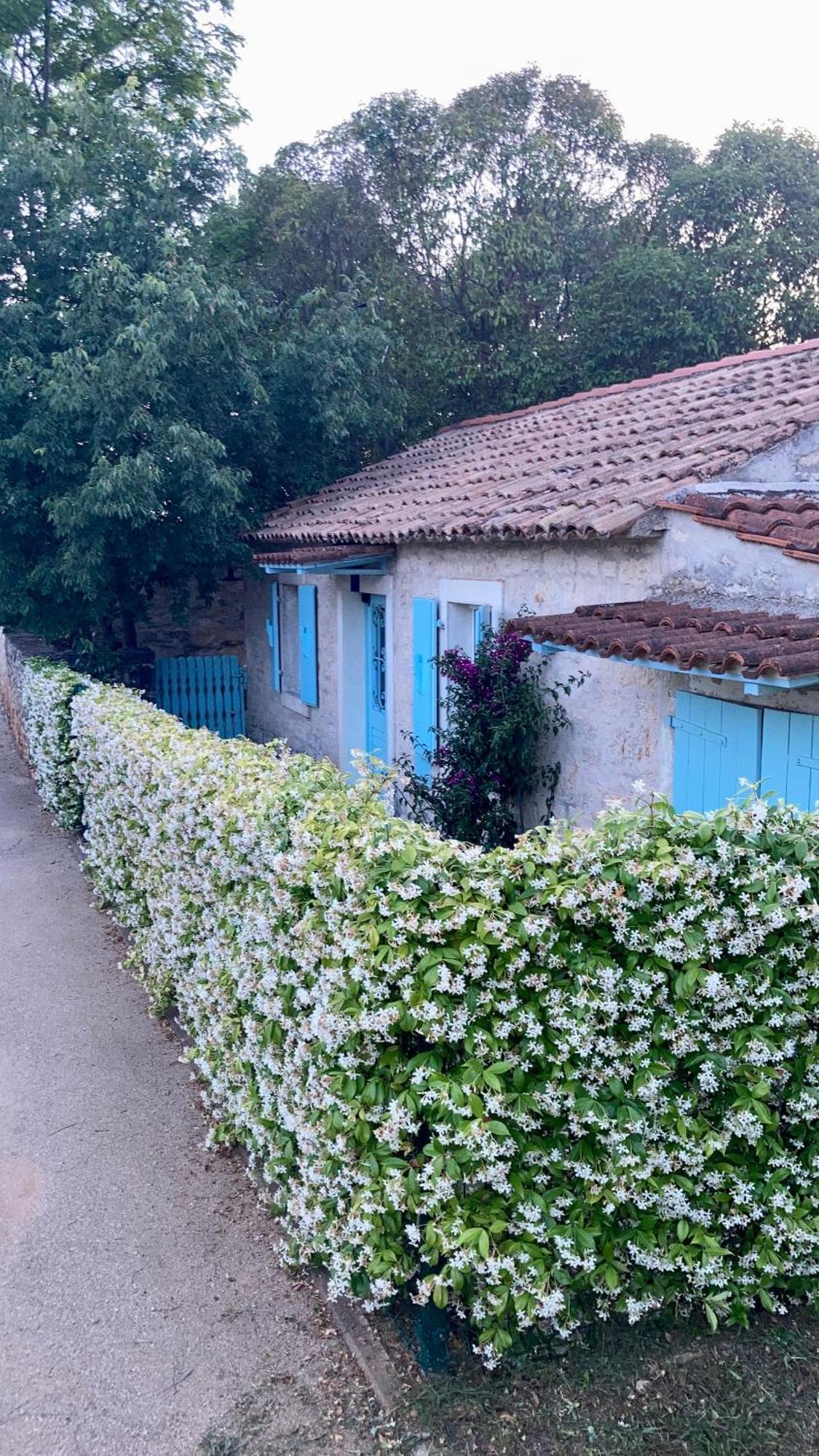 Vila Majda Tar-Vabriga Luaran gambar